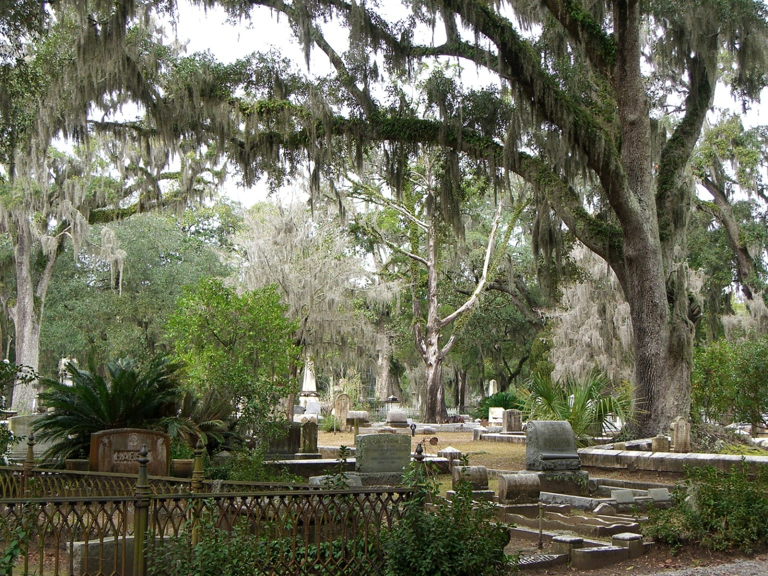 Bonaventure Cemetery